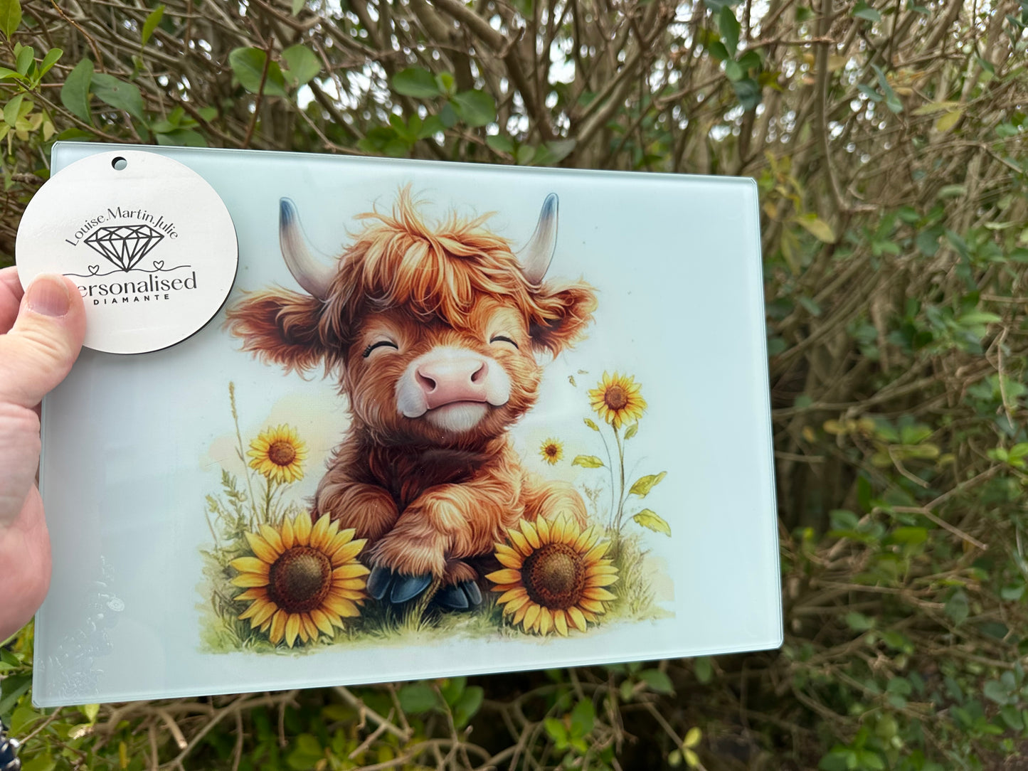 Highland cow Glass cutting Chopping Board smooth A4 Kitchen, highland cow