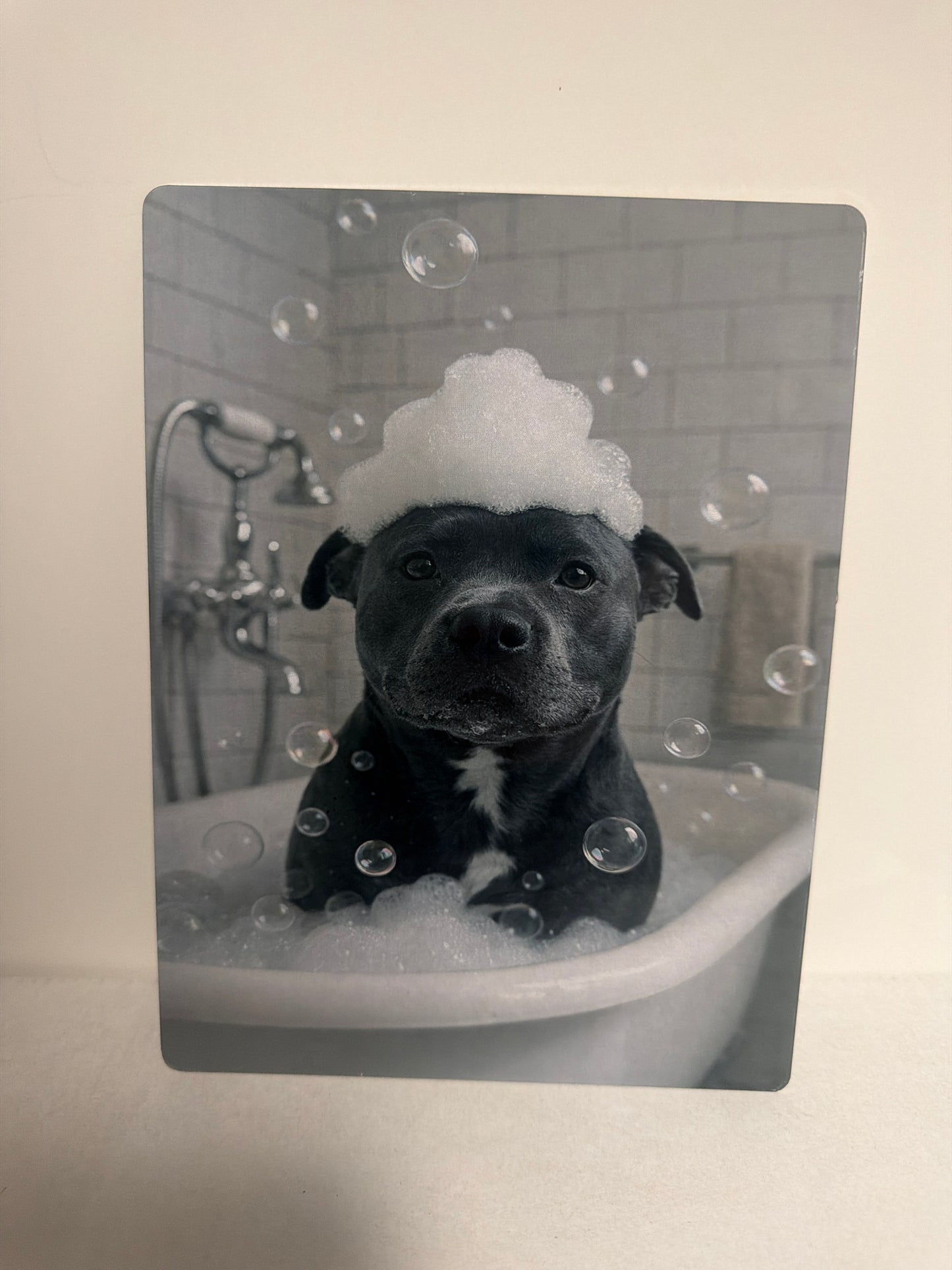 Dog aluminium 6x8 inches or 8x10 inches prints