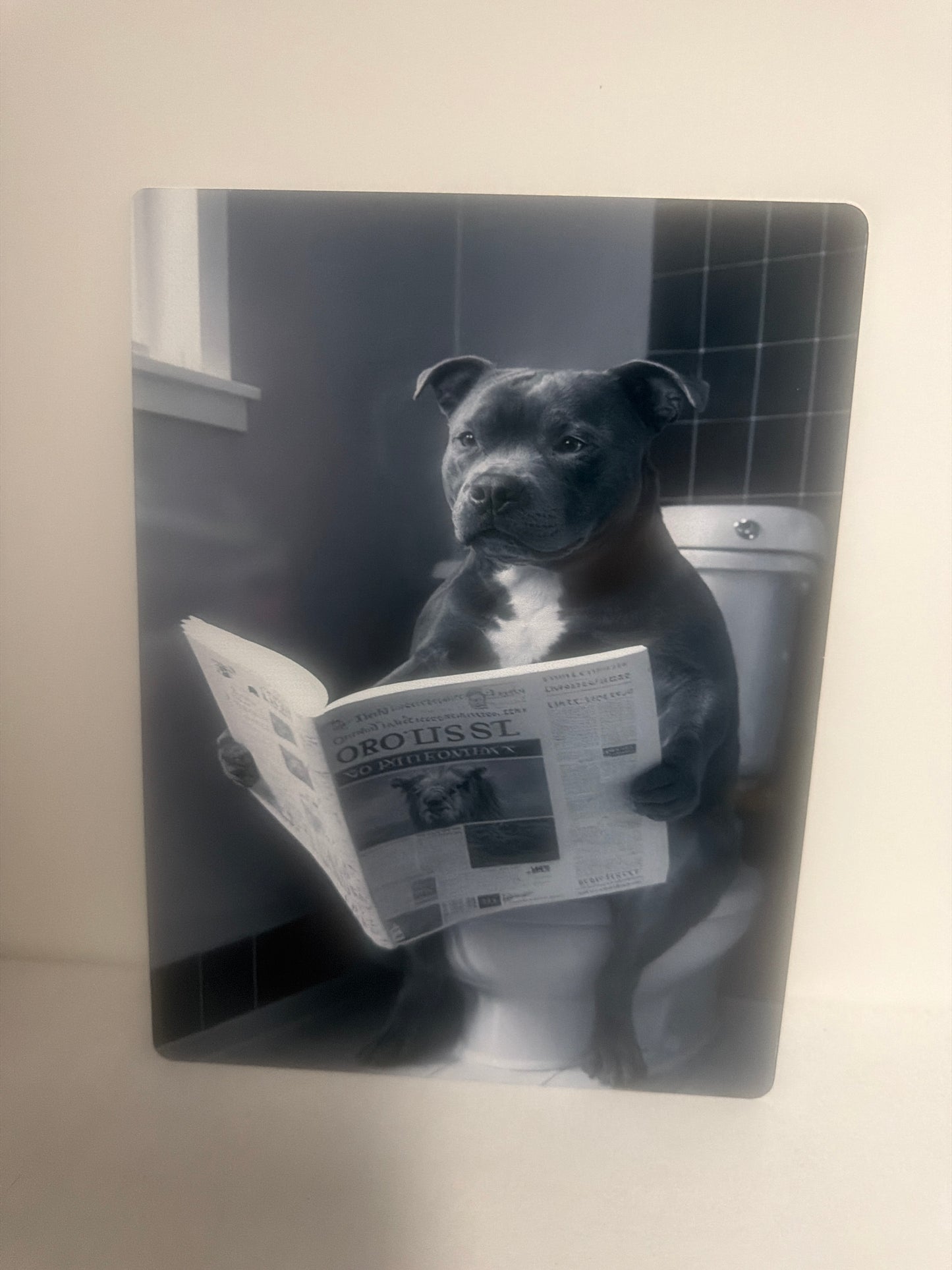 Dog aluminium 6x8 inches or 8x10 inches prints