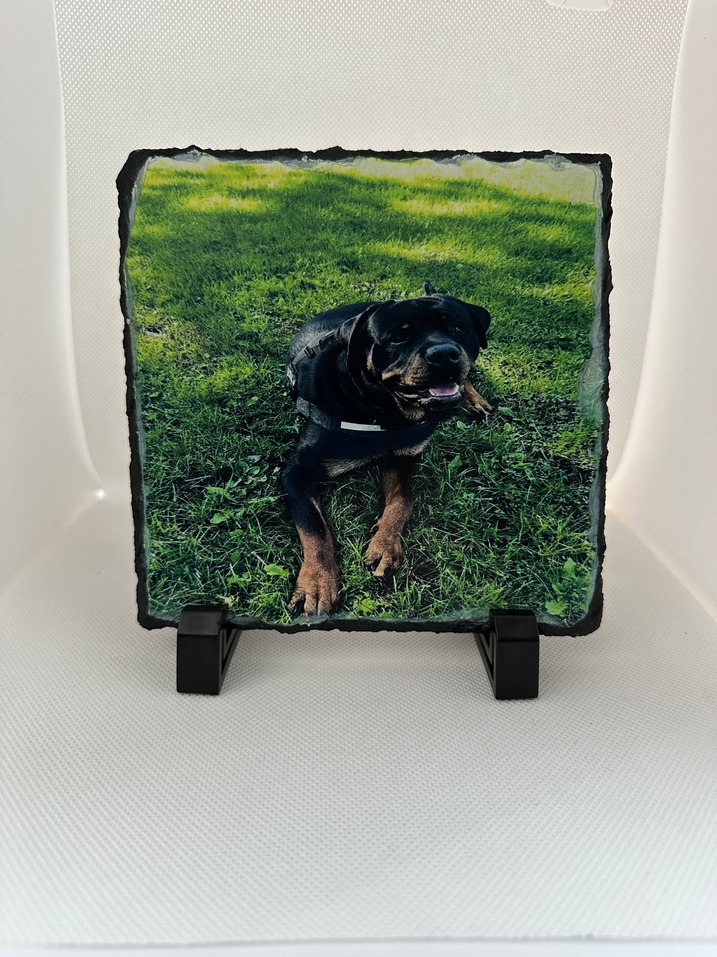 Pet photo slate