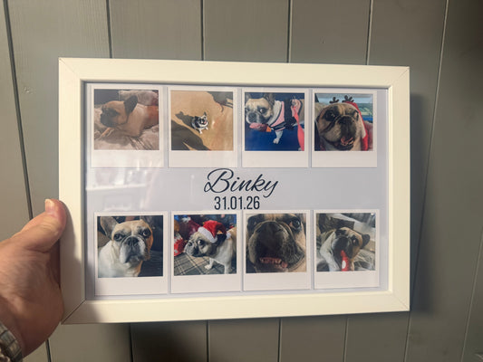 A4 Dog print up to 8 photos