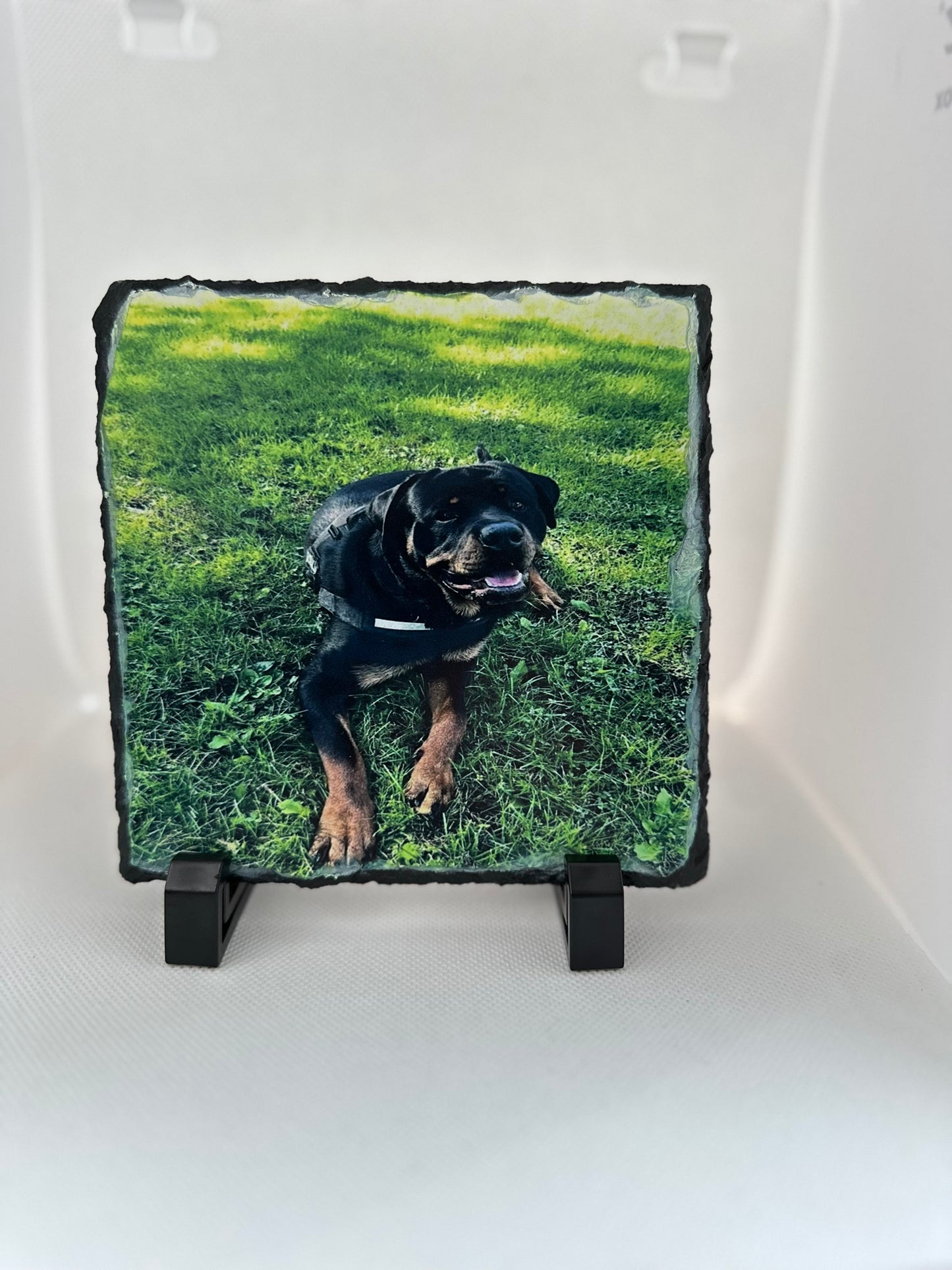 Pet photo slate