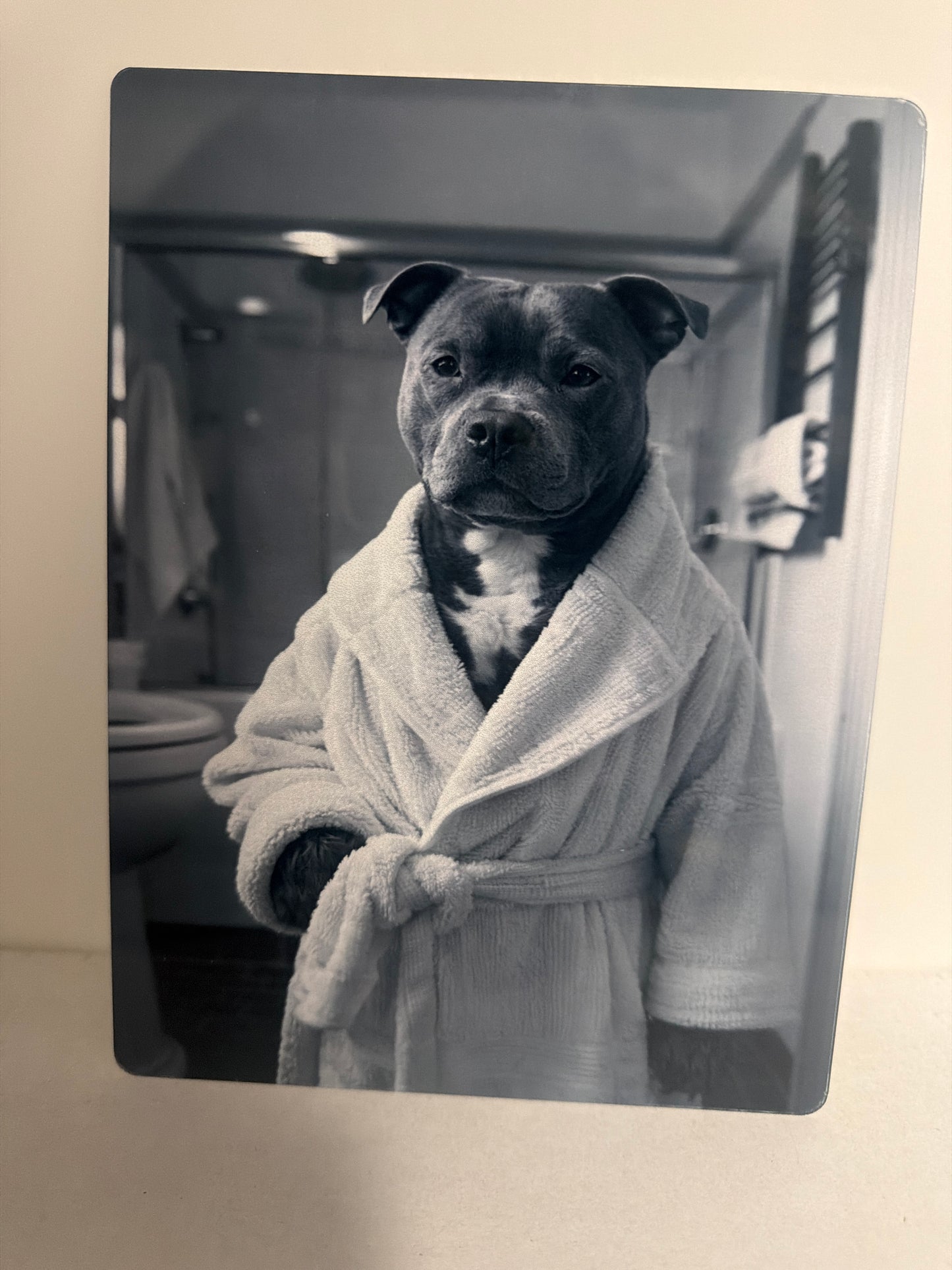 Dog aluminium 6x8 inches or 8x10 inches prints