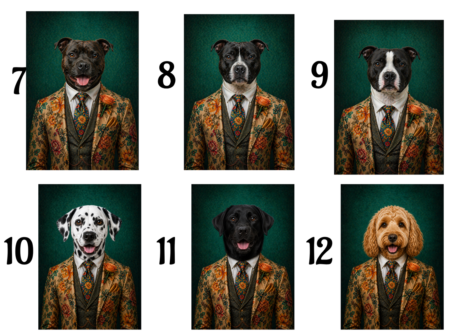 Dogs in suit  A4 prints